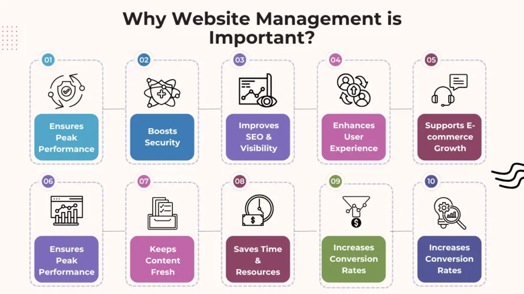 Why Website Management is Important?